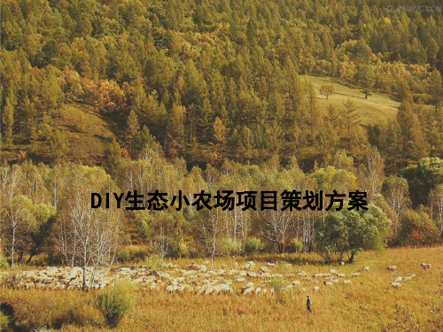 DIY生态小农场策划方案