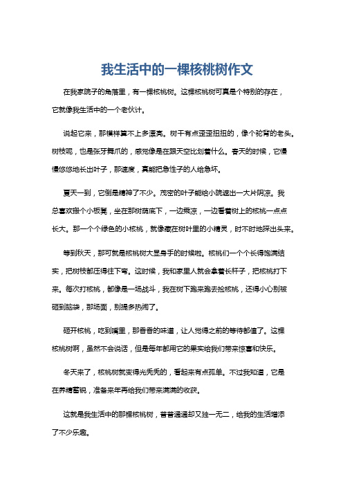 我生活中的一棵核桃树作文