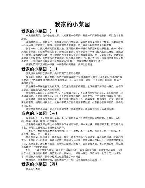 我家的小菜园作文共九篇