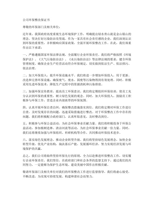 公司环保整改保证书