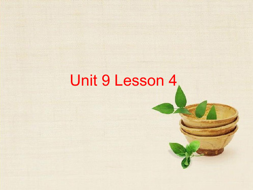 Unit 9 WHEELS Lesson 4 课件 5-北师大版高中必修3精品