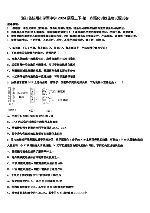 浙江省杭州市学军中学2024届高三下-第一次强化训练生物试题试卷含解析