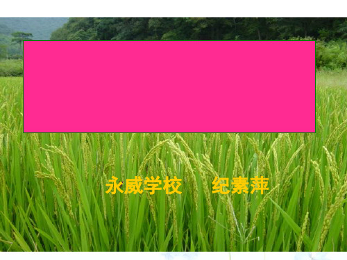 光合与呼吸二轮复习ppt