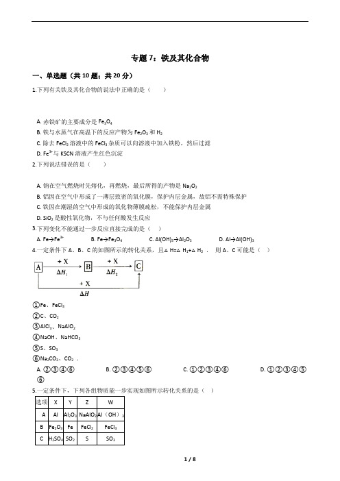 专题7：铁及其化合物精选试题(高中复习必备)