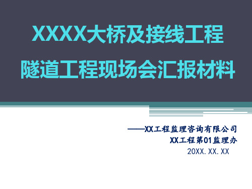 隧道工程监理现场交流会汇报材料PPT课件