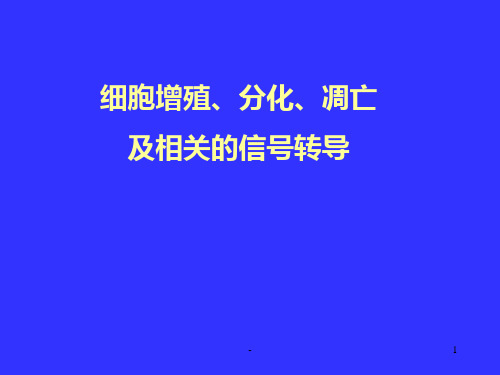 细胞增殖分化与信号转导PPT课件