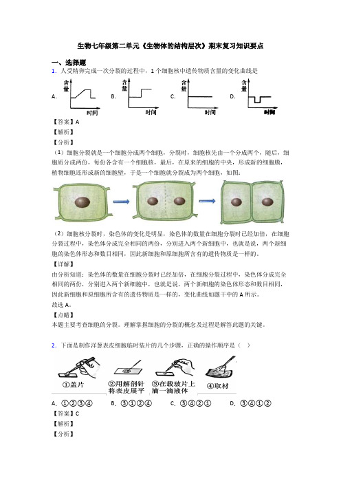 生物七年级第二单元《生物体的结构层次》期末复习知识要点