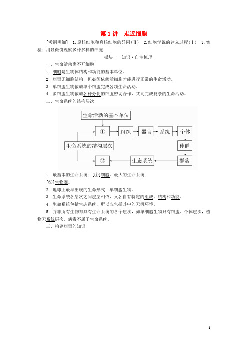 高考生物一轮复习 第1讲 走近细胞培优学案