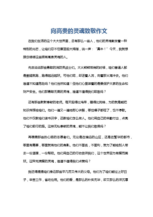 向高贵的灵魂致敬作文