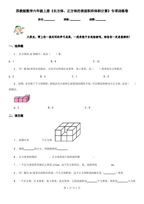 苏教版-数学六年级上册《长方体、正方体的表面积和体积计算》专项训练卷