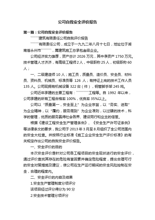 公司自我安全评价报告