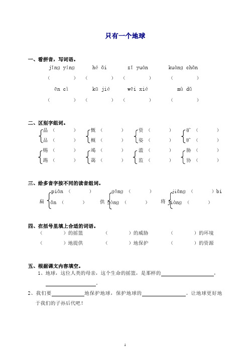 【推荐】部编人教版六年级上册语文同步练习-13只有一个地球(有答案).doc