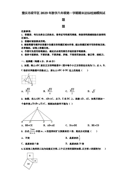 重庆市梁平区2023年数学八年级第一学期期末达标检测模拟试题【含解析】