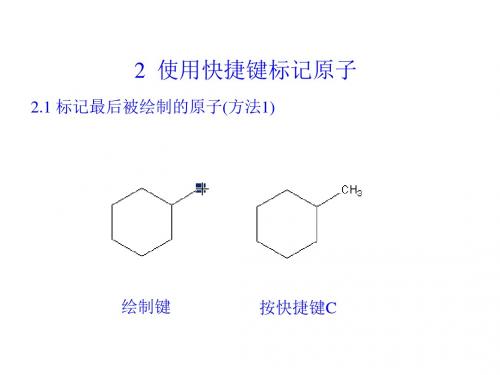 ChemDraw化学结构绘制高级技巧