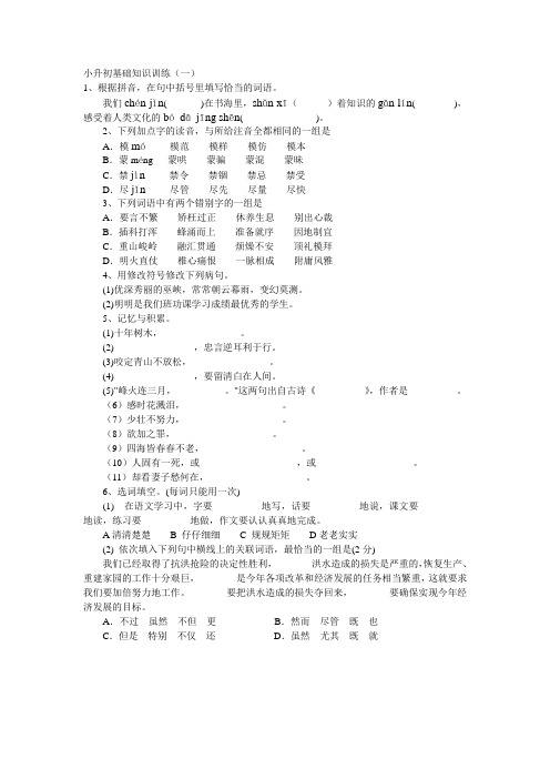 小升初语文基础知识练习题(一).doc