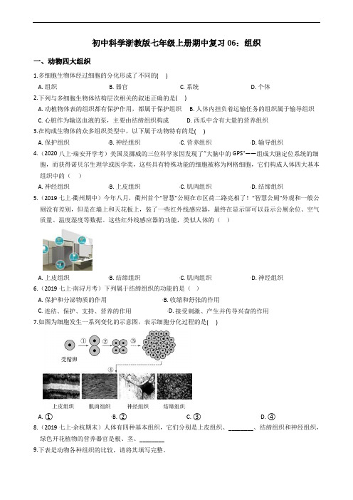 初中科学浙教版七年级上册期中复习06：组织(分知识点+含答案)