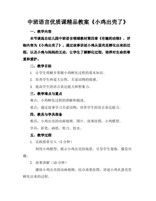 中班语言优质课精品教案《小鸡出壳了》