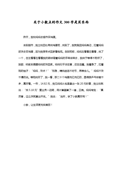 关于小数点的作文300字是买东西