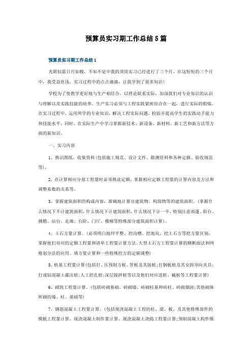 预算员实习期工作总结5篇