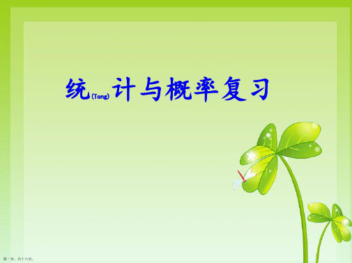四年级上册统计与概率复习