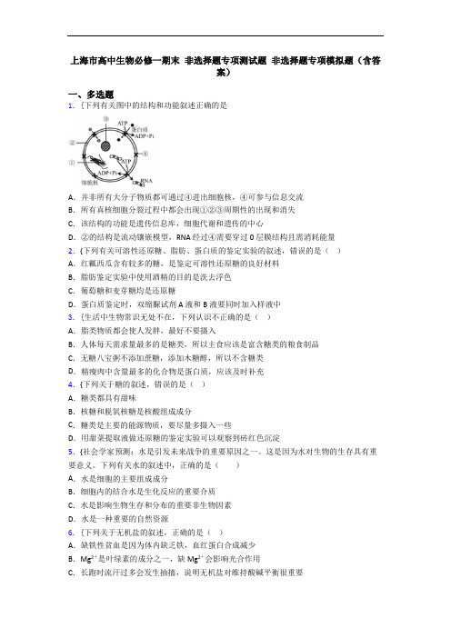 上海市高中生物必修一期末 非选择题专项测试题 非选择题专项模拟题(含答案)