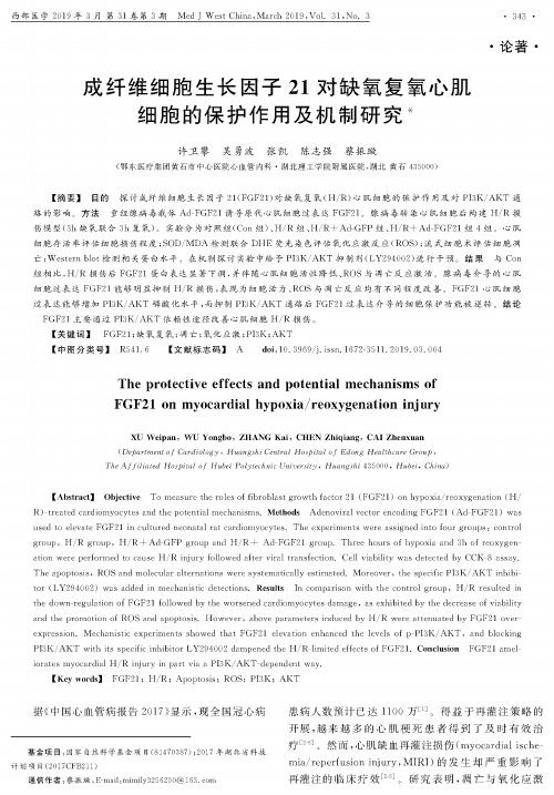 成纤维细胞生长因子21对缺氧复氧心肌细胞的保护作用及机制研究