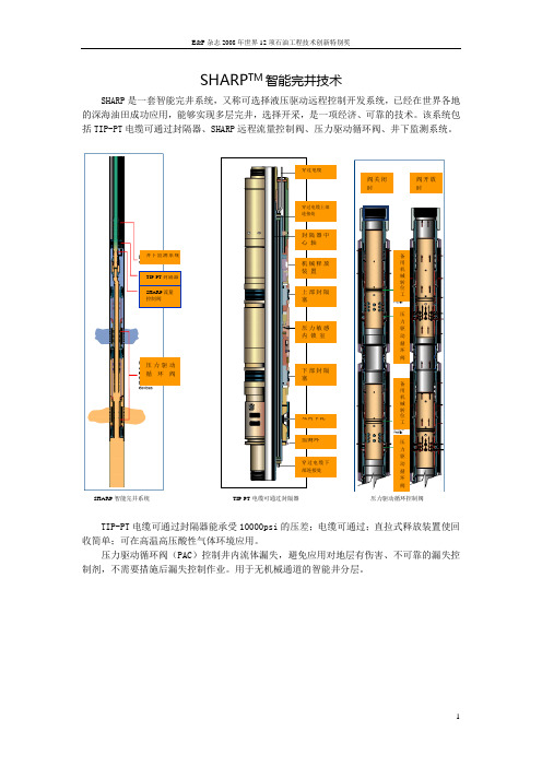 SHARP智能完井技术