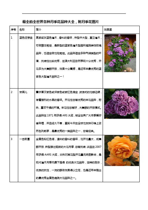 最全的全世界各种月季花品种大全,附月季花图片