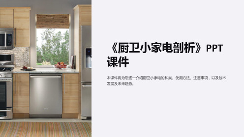 《厨卫小家电剖析》课件