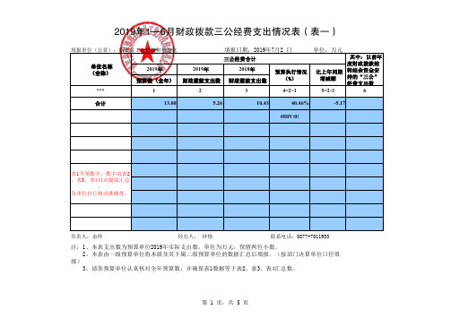 2019年1—6月财政拨款三公经费支出情况表(表一)