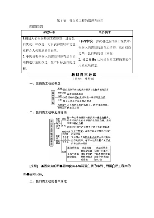 2021--2022学年 人教版   选择性必修三 蛋白质工程的原理和应用 教案