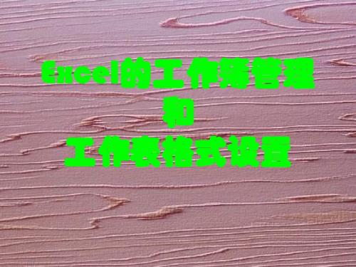 Excel的工作簿管理和工作表格式设置.ppt
