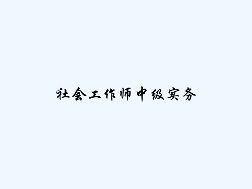 社会工作师中级实务 PPT