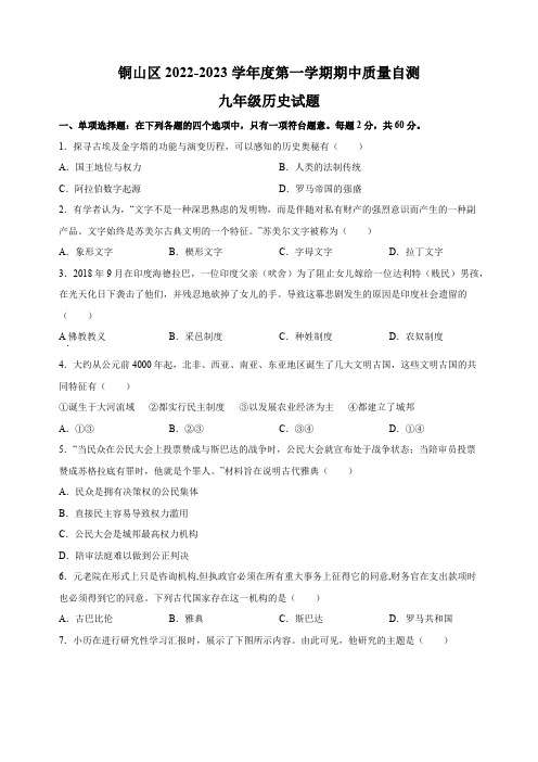 徐州市铜山区2022-2023学年九年级上学期期中历史试题(含答案解析)