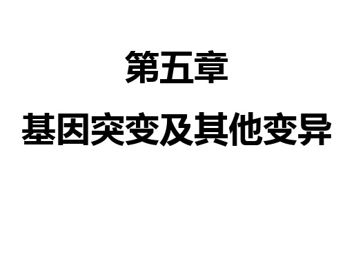 5.1基因突变及他变异(共30张PPT)