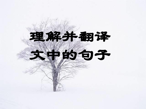 原创高考语文复习备考精品课件 考纲解读理解并翻译文中的句子1公开课