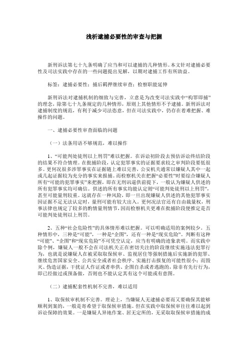 浅析逮捕必要性的审查与把握