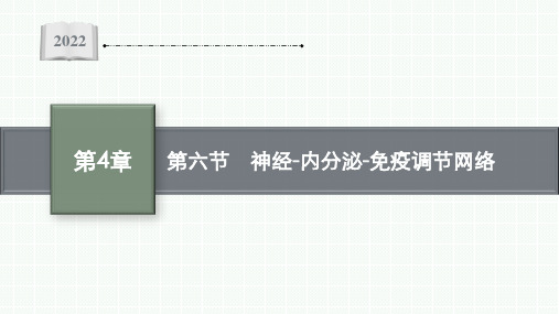 2022-2023学年 北师大版 选择性必修一 神经-内分泌-免疫调节网络(32张)