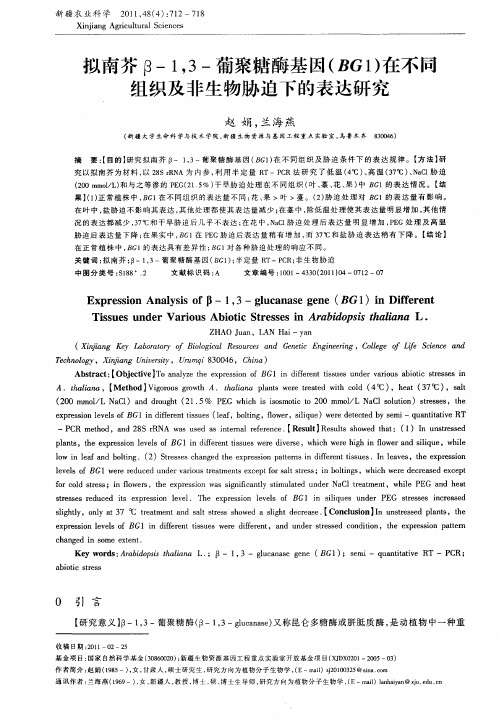 拟南芥β-1