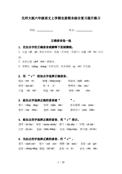 北师大版六年级语文上学期全册期末综合复习提升练习