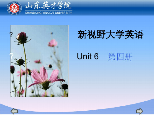 新视野大学英语Unit6第四册