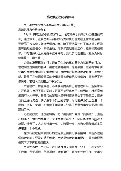 关于高效执行力心得体会范文（精选6篇）