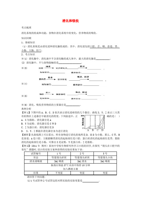 七年级生物上册 4.2.2消化和吸收学案(无答案) 鲁科版五四制