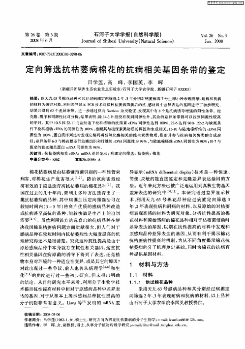 定向筛选抗枯萎病棉花的抗病相关基因条带的鉴定