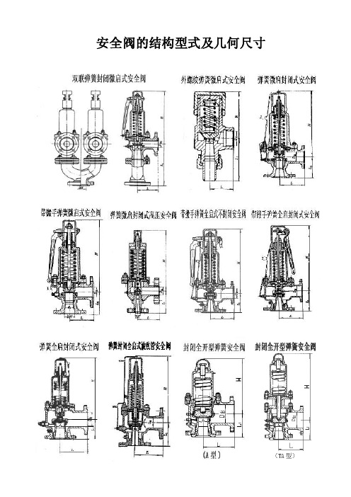 安全阀的结构型式及几何尺寸.doc