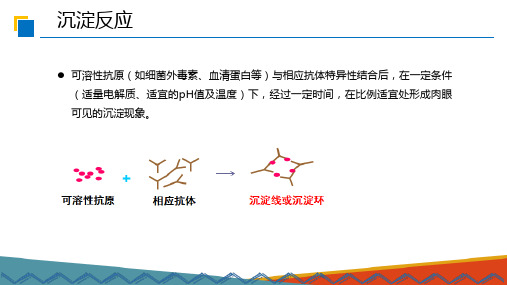 单向、双向免疫琼脂扩散和免疫电泳—单向双向免疫琼脂扩散