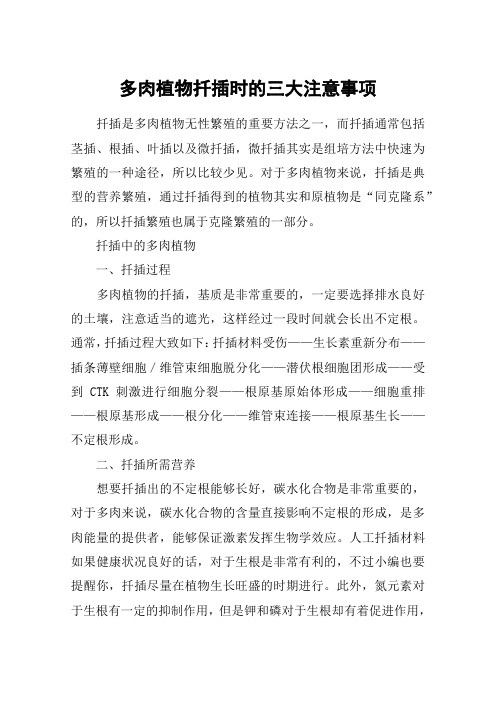多肉植物扦插时的三大注意事项