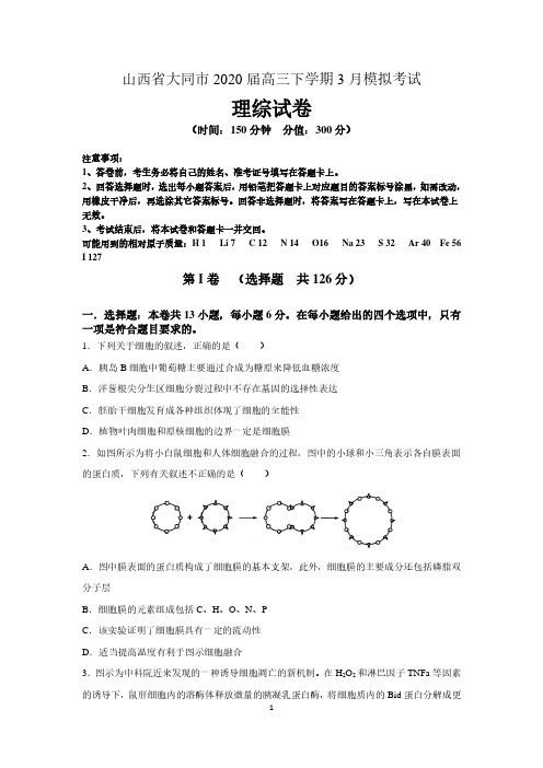 山西省大同市2020届高三下学期3月模拟考试理综试卷  含答案