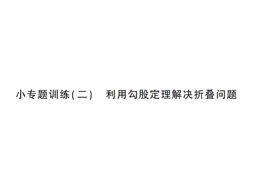 小专题训练利用勾股定理解决折叠问题-2020秋八年级北师大版数学上册作业课件