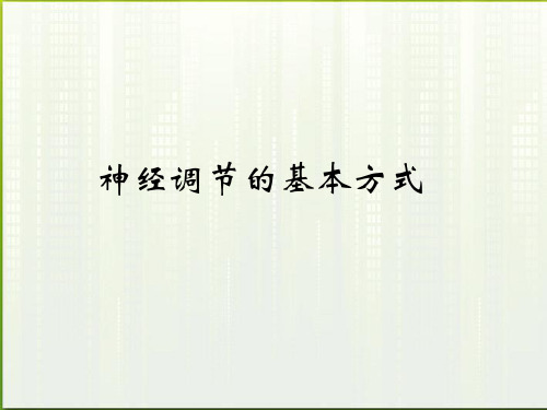 七年级生物下册 第四单元第六章第二节神经调节 课件 人教新课标版